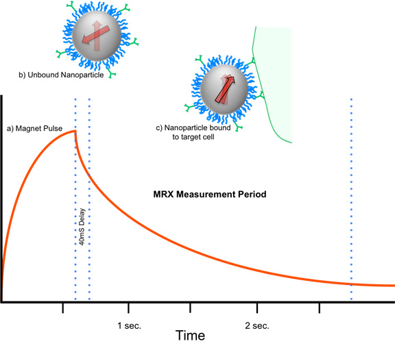 Magnetic Relaxometry